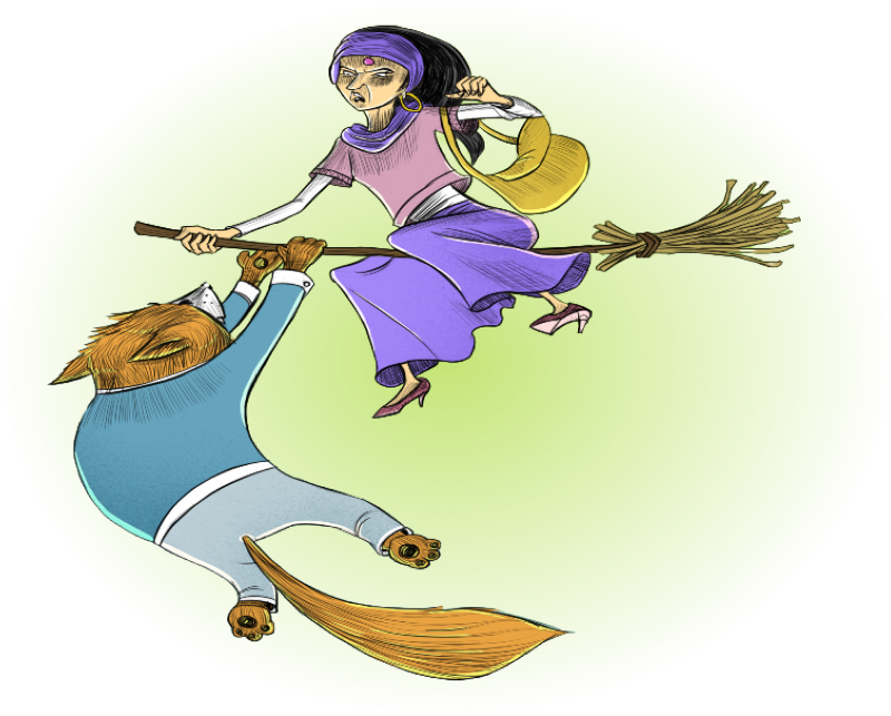witch and fox broom